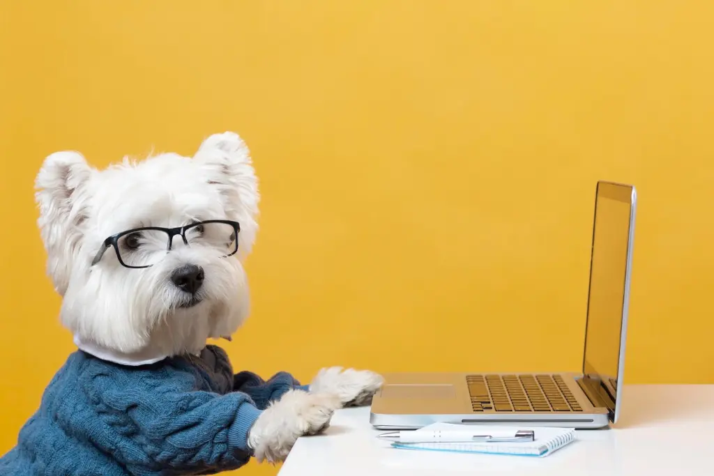 cute white dog with glasses working desktop laptop pencil notebook